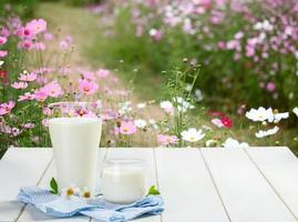 deux verres de lait avec napery sur une table en bois blanche sur fond de jardin fleuri, produits laitiers savoureux, nutritifs et sains photo