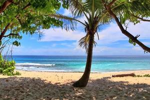 journée ensoleillée vue sur la plage sur les îles paradisiaques seychelles photo