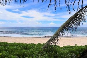 journée ensoleillée vue sur la plage sur les îles paradisiaques seychelles photo