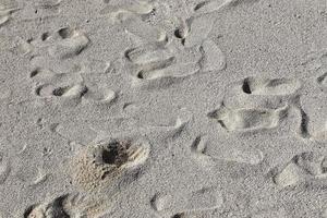 belles photos du sable blanc de la plage sur l'île paradisiaque des seychelles avec des empreintes de pas