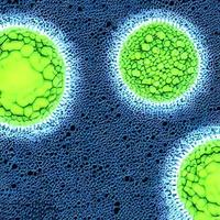 bactéries virus ou germes micro-organismes cellules. illustrations médicales. Illustration 3D. un rendu 3d haute résolution photo