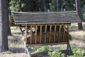 mangeoires en bois dans le parc avec des animaux photo