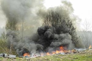 les arbres brûlent. feu dans la nature. dépotoir brûlant. dommages à l'environnement. photo