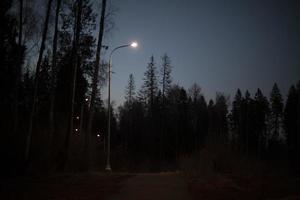 l'éclairage des rues. lampe sur poteau. lumière dans le parc. photo