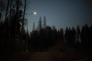 l'éclairage des rues. lampe sur poteau. lumière dans le parc. photo