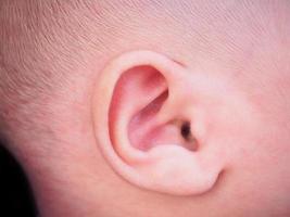 oreille de bébé nouveau-né en gros plan photo