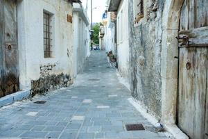 rue étroite et colorée dans le village de kritsa sur l'île de crète photo