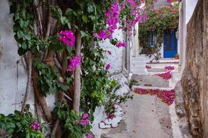 rue étroite et colorée dans le village de kritsa sur l'île de crète photo