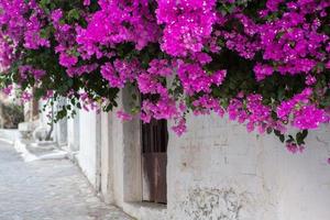 rue étroite et colorée dans le village de kritsa sur l'île de crète photo