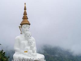 bouddha blanc et brouillard photo