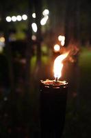 fermer la torche et le feu dans le jardin de nuit. photo