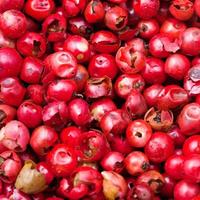 grains de poivre rouge photo