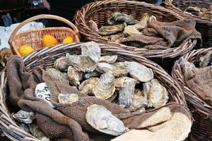 huîtres fraîches au marché photo