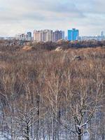 bâtiments et cimes des arbres éclairés par la lumière du soleil photo