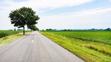 paysage de campagne avec route en alsace photo