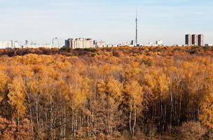 vue d'automne sur la tour de télévision, les maisons et les arbres jaunes photo