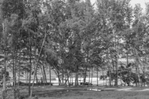 nai thon naithon beach noir et blanc phuket thaïlande. photo