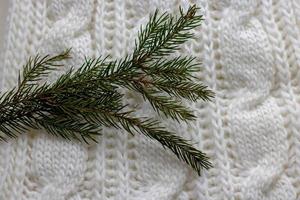 fond de tons pastel de takan en laine tricotée chaude, avec une branche d'épinette, comme symbole de l'hiver ou de noël. photo