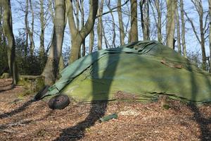 toile verte jetée sur un tas dans une forêt photo