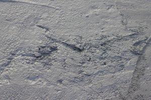 la surface du sol en ciment coulé n'est pas encore sèche. et il y a rugueux, pas lisse. photo