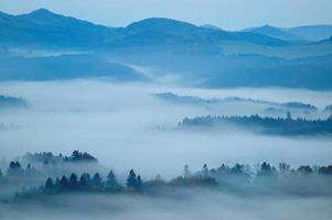 paysage vallonné avec brouillard photo