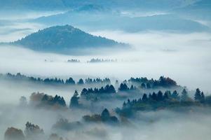 paysage vallonné avec brouillard photo