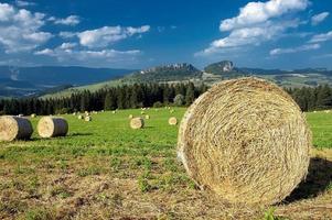 ensilage dans le pré photo