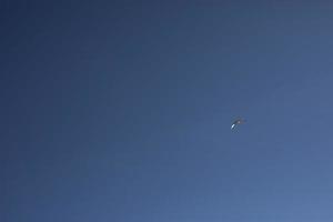 la mouette vole dans le ciel. l'oiseau est haut dans le ciel bleu. photo