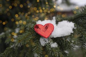 un coeur rouge comme symbole de la saint valentin se trouve sur l'arbre avec des lumières bokeh à l'arrière-plan photo