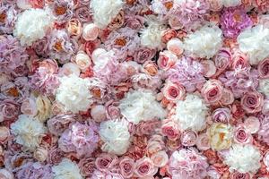 roses rose vif en arrière-plan, fleurs colorées photo