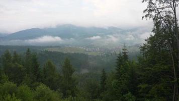 vue depuis la colline avec prairie forestière sur la ville et brume dans la vallée photo