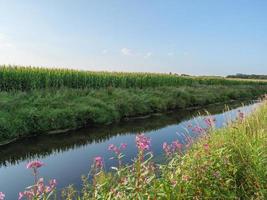 petite rivière en westphalie photo
