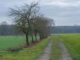 le muensterland allemand photo