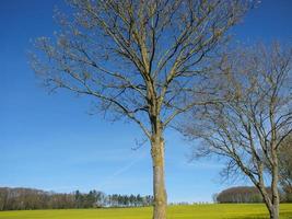 le printemps dans la baumberge allemande photo