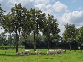 l'heure d'été au village allemand weseke photo