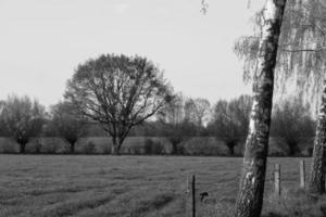 heure d'été près de legden en westphalie photo