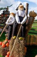 beaucoup de citrouilles oranges photo