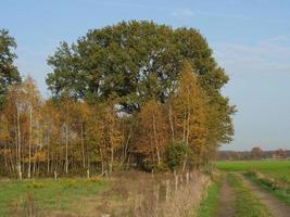 randonnée près de burlo en westphalie photo