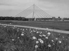 le printemps en Rhénanie-du-Nord-Westphalie photo