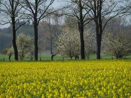 ville de metelen en westphalie photo