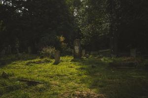 pierres tombales dans le cimetière, cimetière d'arnos vale photo