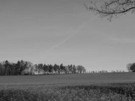 paysage westphalien près de billerbeck photo