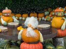 citrouilles dans un jardin allemand photo