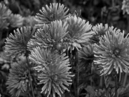 heure d'été en westphalie allemande photo