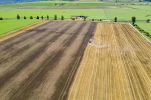 moment de la récolte. agriculture. vue aérienne de la moissonneuse-batteuse dans le champ photo