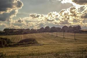 lignes de transmission électrique s'étendant sur des champs agricoles et une forêt par temps nuageux. photo