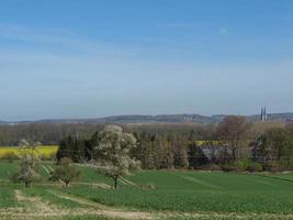 le printemps dans la baumberge allemande photo