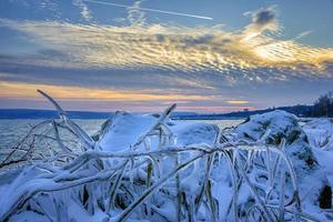 paysage d'hiver, lever ou coucher du soleil et racines d'arbres gelées. photo