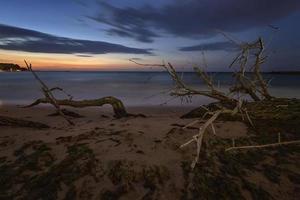 branches d'arbres et racines sur la plage. vue mystique photo