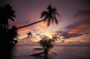 plage des maldives de l'océan indien photo